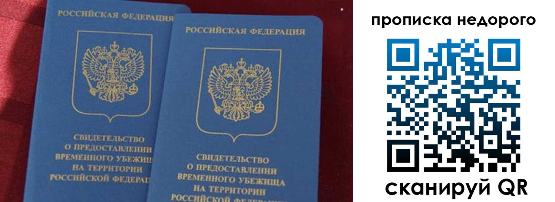 прописка гарантия в Приморском крае